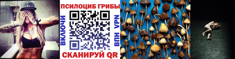 OMG ССЫЛКА  Краснотурьинск  Галлюциногенные грибы Psilocybine cubensis 