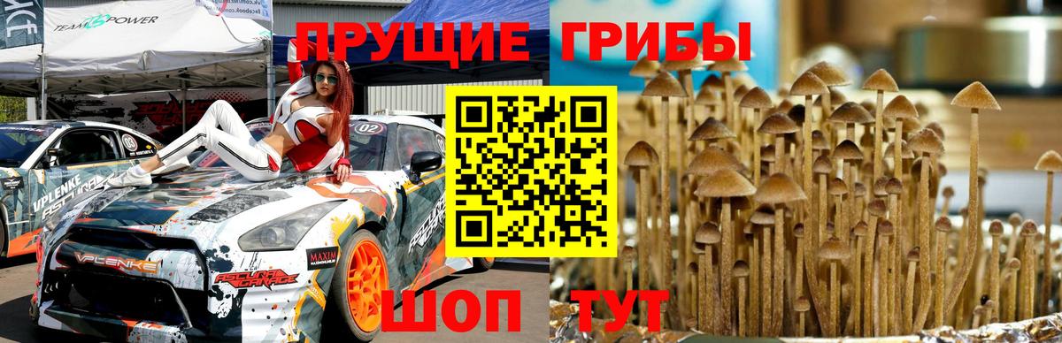 Галлюциногенные грибы MAGIC MUSHROOMS Краснотурьинск