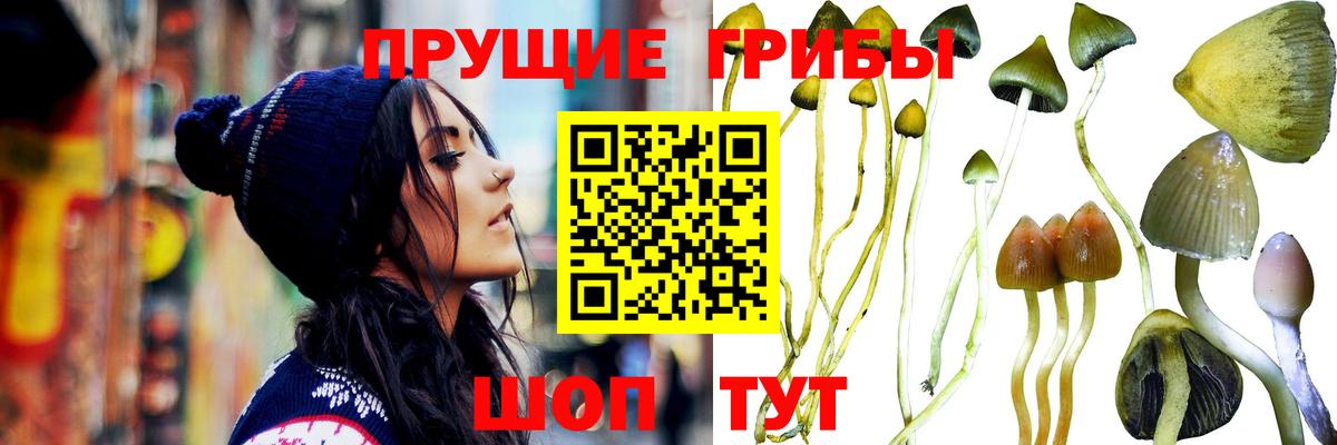 Галлюциногенные грибы MAGIC MUSHROOMS  Галлюциногенные грибы ЛСД  Краснотурьинск  наркотики  Вход с VPN 